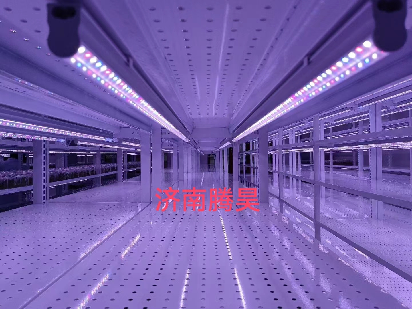 組培架，培養(yǎng)架，光照培養(yǎng)架，組培室設(shè)計(jì)，組培室無菌凈化